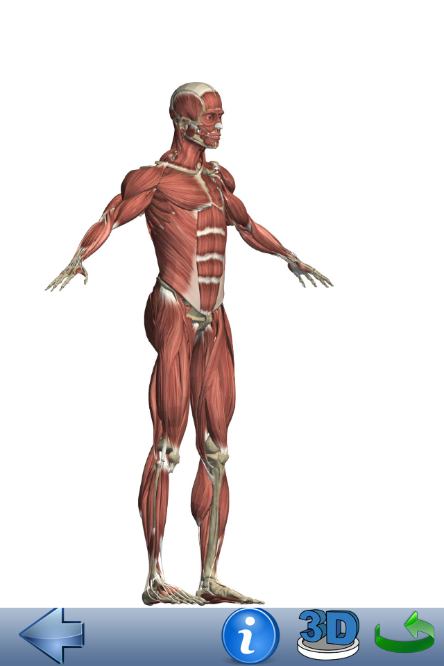 تعرف إلى تطبيق تشريح جسم الإنسان Visual Anatomy زووم على التقنية